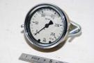 Manometer mit Ölfüllung, 0-250bar 