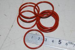 O-Ring, ca. 26 x 2 mm, VPE 10 Stück 