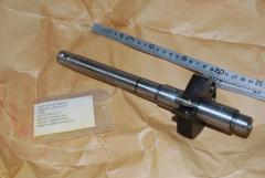 Welle, Spritzversteller 