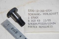 Hohlschaftschraube M10 