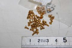 Minischrauben, M1,7 x 4, Messing, VPE 50 Stück 