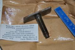 Zapfen, Windschutzscheibe 