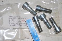 Zylinderschraube mit Innensechskant, M10, VPE 5 Stück 