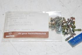 Halsschraube M4 x 12, VPE 20 Stück 