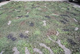 Bundeswehr Tarnnetz 10,2 x 10,2 m 